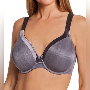 Women’s Steele Violet Support Full Figure Underwire Bra – 42C – Plus Size – NWT